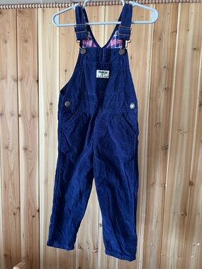 Oshkosh b’Gosh Overalls Blue Purple Corduroy 2T Girls